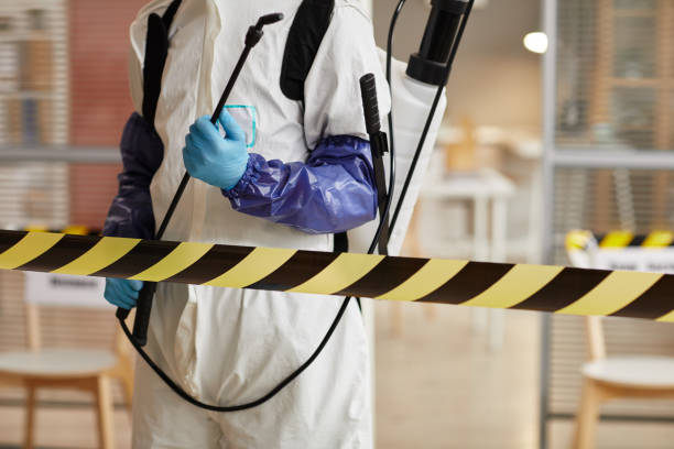 Professional Sewage Cleanup technician working in Randolph, NJ